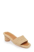 Carrie Forbes Bou Raffia Sandal at Nordstrom,