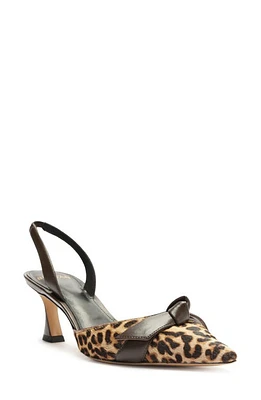 Alexandre Birman Clarita Genuine Calf Hair Pointed Toe Slingback Pump Light Beige/Testa Di Moro at Nordstrom,