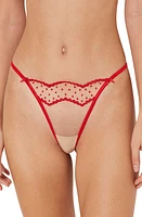 Etam Emerveilee Embroidered Tulle G-String at Nordstrom, Size Small