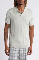 Open Edit Wide Rib Polo Sweater at Nordstrom,