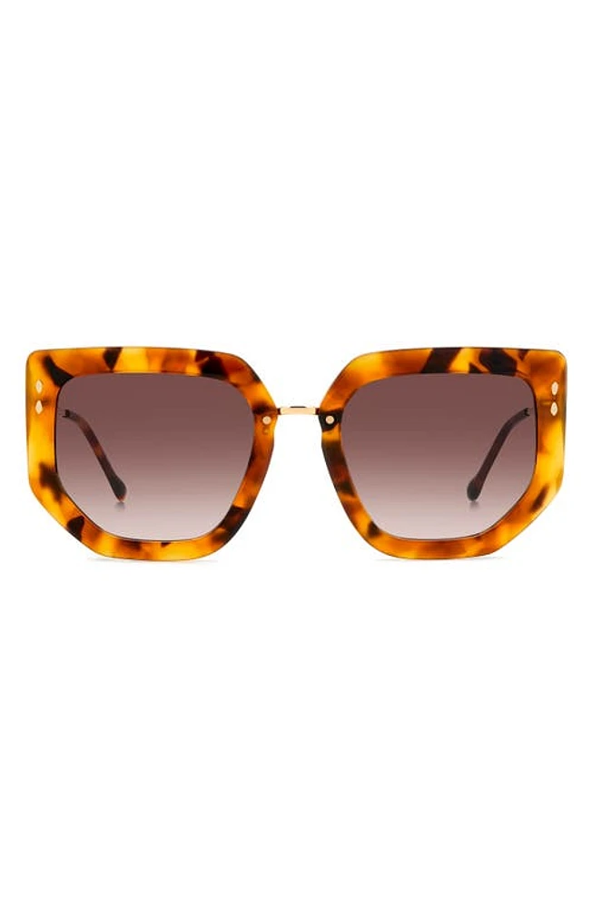 Isabel Marant 55mm Gradient Cat Eye Sunglasses in Havana Gold/Brown Gradient at Nordstrom