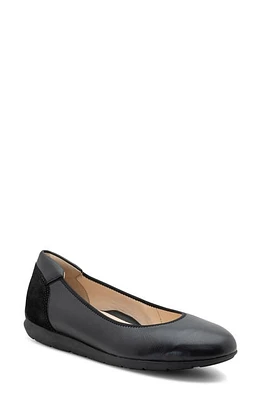 Sarah Ballet Flat Black Calf at Nordstrom,