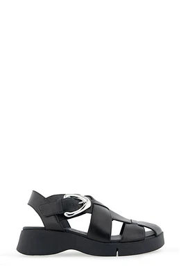 Aerosoles Fabian Sandal Leather at Nordstrom,