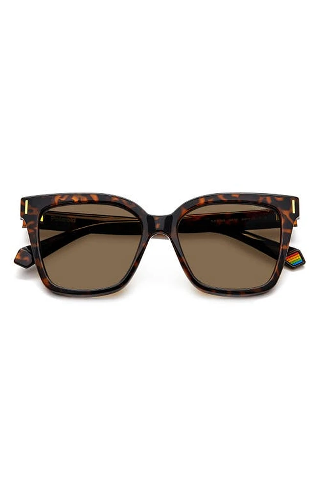 Polaroid 54mm Polarized Cat Eye Sunglasses in Z/dnuhavana/Bronze Polar at Nordstrom