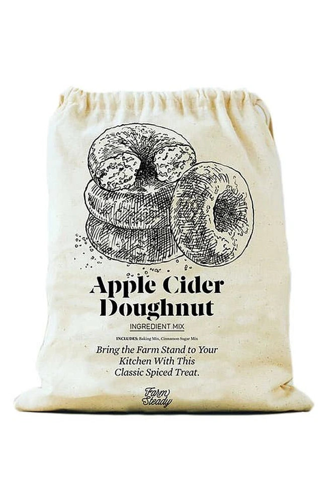 Brooklyn Brew Shop Apple Cider Doughnut Making Kit in Canvas at Nordstrom