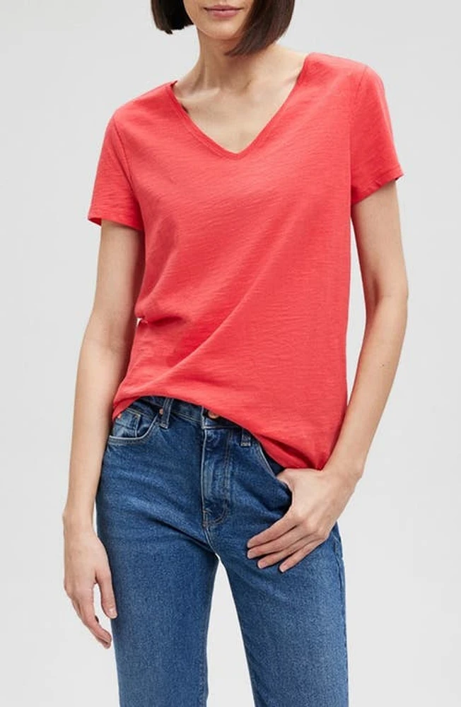 Mavi Jeans Basic V-Neck T-Shirt in Poinsettia at Nordstrom, Size X-Small