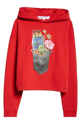 JW Anderson Flower Pot Cotton Hoodie Bright Red at Nordstrom,