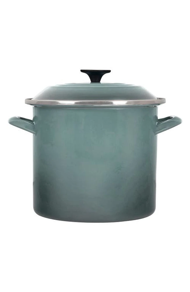 Le Creuset 8-Quart Enameled Steel Stockpot in Sea Salt at Nordstrom