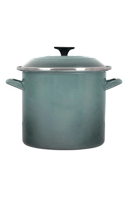 Le Creuset 8-Quart Enameled Steel Stockpot in Sea Salt at Nordstrom