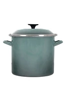 Le Creuset 8-Quart Enameled Steel Stockpot in Sea Salt at Nordstrom