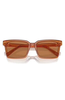 Miu Miu 55mm Rectangular Sunglasses in Brown at Nordstrom