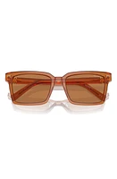 Miu Miu 55mm Rectangular Sunglasses in Brown at Nordstrom