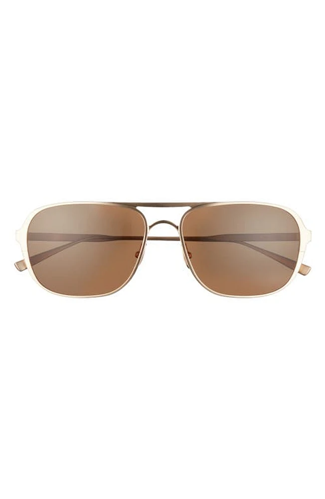 SALT. Yeager 60mm Polarized Aviator Sunglasses in Brushed Honey Gold/Brown at Nordstrom