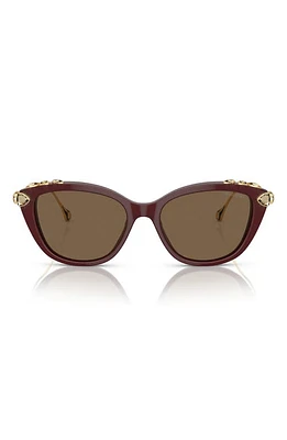 Swarovski 53mm Cat Eye Sunglasses in Dark Brown at Nordstrom