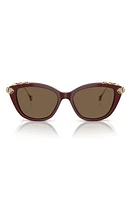 Swarovski 53mm Cat Eye Sunglasses in Dark Brown at Nordstrom