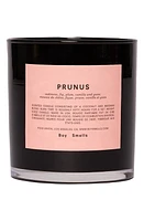 Boy Smells Prunus Scented Candle at Nordstrom, Size 8.5 Oz