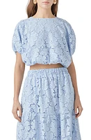 Endless Rose Sequin Lace Voluminous Crop Top Powder Blue at Nordstrom,