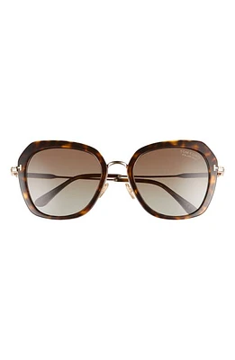 TOM FORD Kenyan 54mm Round Polarized Sunglasses in Havana/Brown at Nordstrom