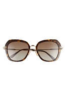 TOM FORD Kenyan 54mm Round Polarized Sunglasses in Havana/Brown at Nordstrom