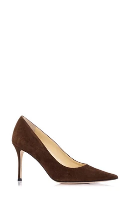 MARION PARKE Classic Pointed Toe Pump Chocolate at Nordstrom,