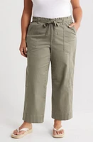 Wit & Wisdom Skyrise Paperbag Waist Ankle Pants in Laurel Oak at Nordstrom, Size 14W