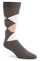 Canali Argyle Cotton Dress Socks in Green at Nordstrom, Size Medium