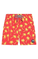 Tom & Teddy Kids' Palm Print Swim Trunks at Nordstrom, Y