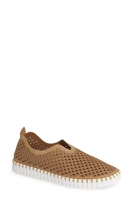 Ilse Jacobsen Tulip 139 Perforated Slip-On Sneaker at Nordstrom,