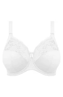 Elomi Morgan Full Figure Underwire Bra at Nordstrom,