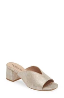 Cordani Pollie Slide Sandal at Nordstrom,