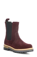 Bos. & Co. Arbor Waterproof Chelsea Boot at Nordstrom,