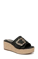 Sam Edelman Celia Platform Slide Sandal Black at Nordstrom,