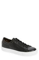 TO BOOT NEW YORK Sierra Lace-Up Sneaker at Nordstrom,