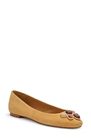 Birdies Hummingbird Ballet Flat Suede Stone at Nordstrom,