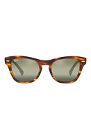 Ray-Ban 50mm Square Sunglasses in Striped Havana at Nordstrom