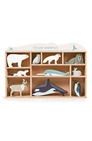 Tender Leaf Toys Polar Animals 10-Piece Wooden Toy Set & Shelf in Multi at Nordstrom