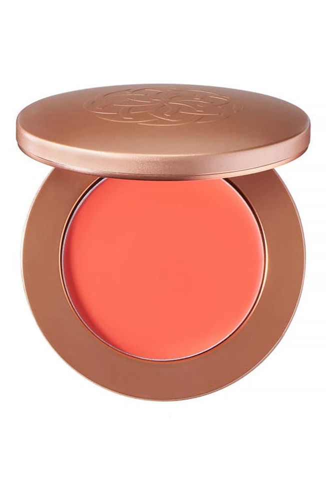 YENSA Super Serum Silk Cream Blush in Vibrant Coral at Nordstrom