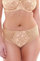 Elomi Morgan Full Figure Briefs at Nordstrom,