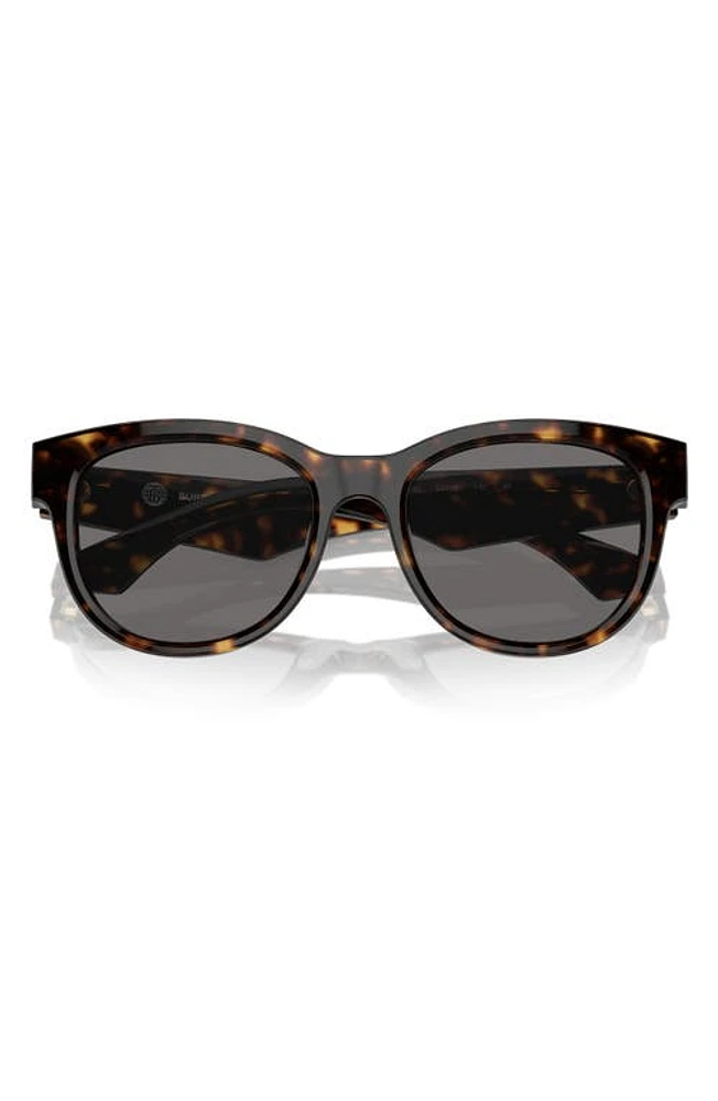 burberry 54mm Round Phantos Sunglasses in Dk Havana at Nordstrom