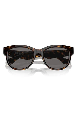 burberry 54mm Round Phantos Sunglasses in Dk Havana at Nordstrom