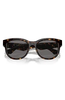 burberry 54mm Round Phantos Sunglasses in Dk Havana at Nordstrom