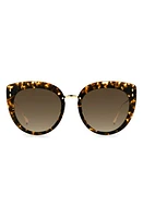 Isabel Marant 55mm Cat Eye Sunglasses in Havana Gold /Brown at Nordstrom