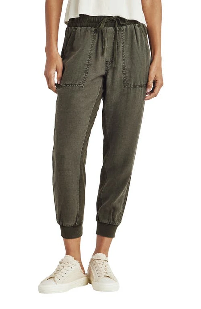 Splendid Lakeside Jogger Pants at Nordstrom,