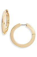 Jenny Bird Toni Hoop Earrings in High Polish Gold at Nordstrom