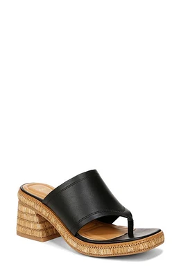 Sarto by Franco Ferrara Espadrille Platform Sandal Black at Nordstrom,