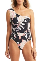 Sea Level Martini One-Shoulder One-Piece Swimsuit in Black at Nordstrom, Size 12 Us