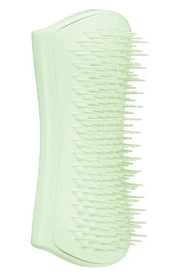 Tangle Teezer Puppy Grooming Dog Brush in Mint at Nordstrom