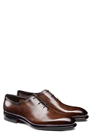 Santoni People Plain Toe Oxford Dark Brown-T50 at Nordstrom,