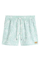 RVCA Exotica Swim Trunks Granite Green at Nordstrom,