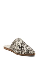 TOMS Jade Mule Mini Cheetah at Nordstrom,